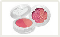 colorsong blusher1.jpg
