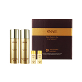snail set1.jpg