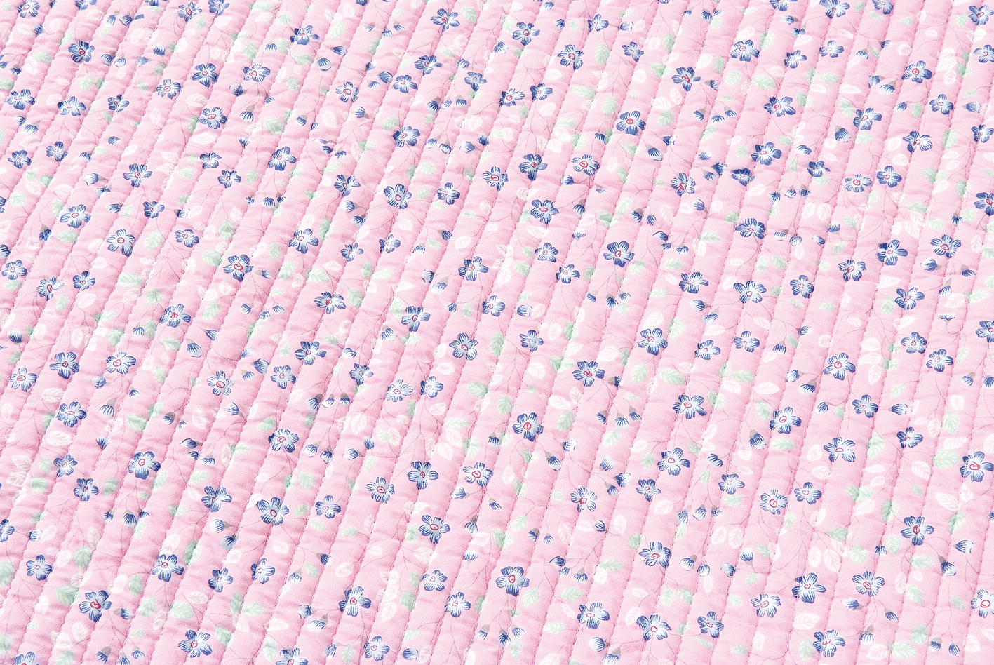 마카롱-03.jpg
